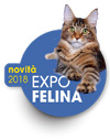 EXPO FELINA